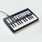 Worlde-Pandamini25 Key Midi-клавиатура для удара по Pad Music Аранжировка клавишной электро-музыки контроллер флейты