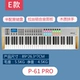 P-61 PRO