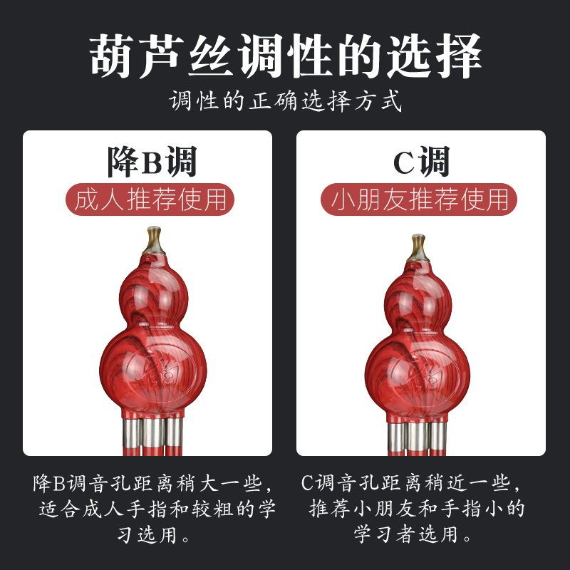 Adult self-taught musical instrument tuning b beginners professional C playing primary school students children's entry cucurbit silk tuning for beginners
