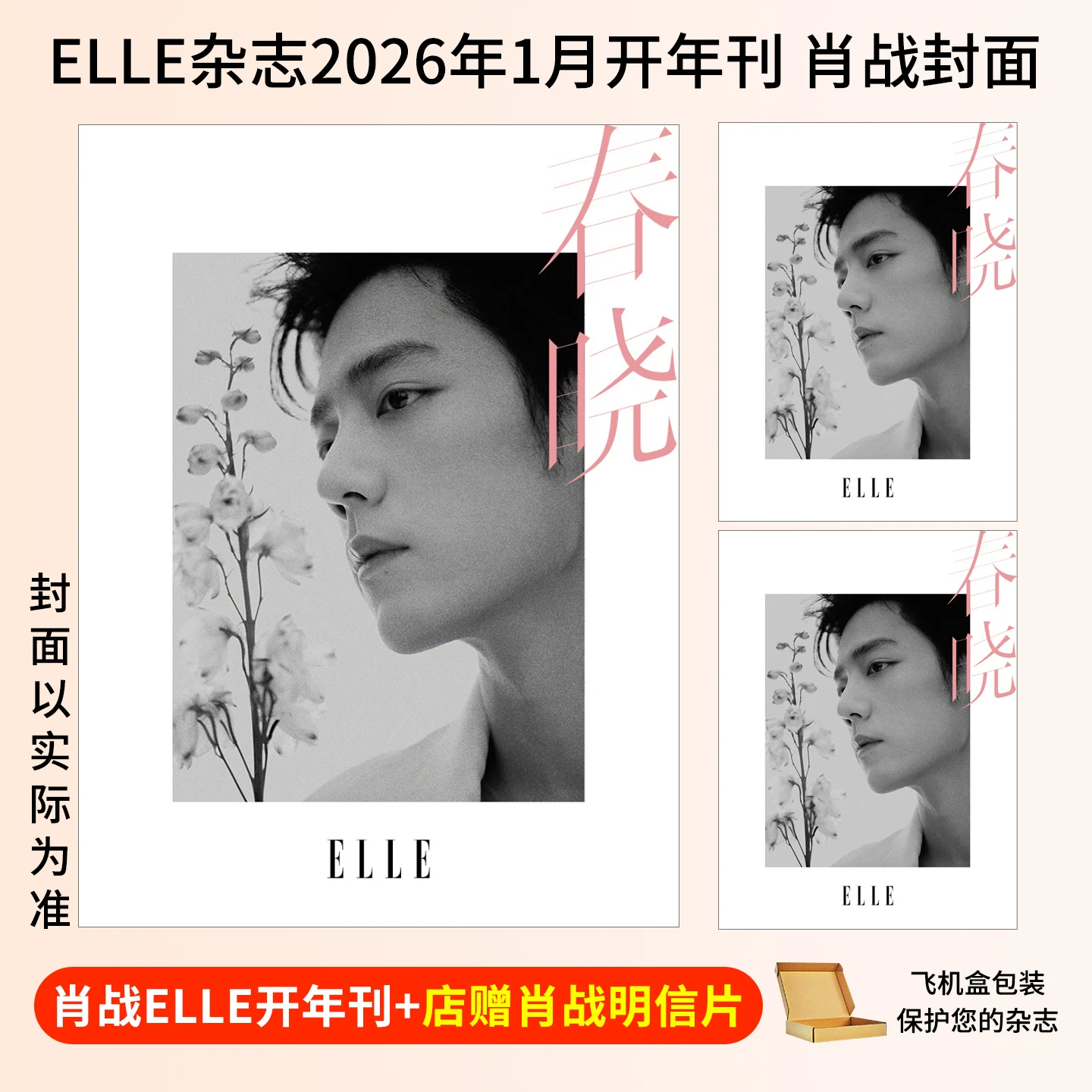 Журнал ELLE World Fashion Garden 2025 Bound Volume Zhou Dongyu Zhao Lusi Обложка Huadao Fashion Специальная тема