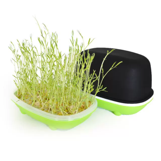 [Hydroponic Bean Peanut Sprout Box Nursery Pot Pea Cat Grass]