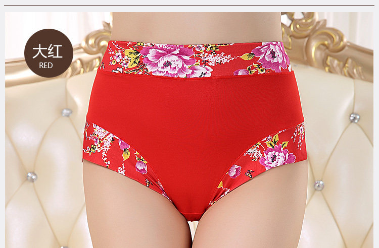 Slip Moyen-âge shushi-01 en coton - Ref 640691 Image 21