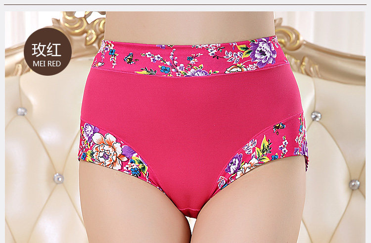 Slip Moyen-âge shushi-01 en coton - Ref 640691 Image 19