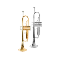Yamaha Trumpet YTR-S1 Professional Grade Exam Teaching for Beginners in B Flat Key YAMAHA Trumpet Available in Stores