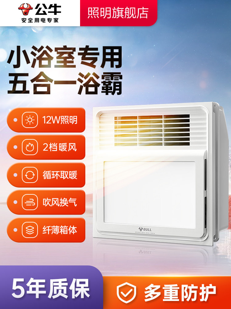 Bull Brand Air Heating Small Bathroom Heater with Exhaust Fan and Lighting, Integrated Ceiling Heating, Five-In-One Heater for Bathroom Heating