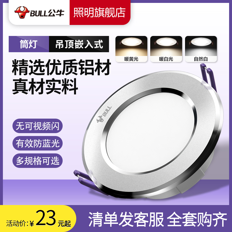 Bull embedded drum LED smallporous grilled hole lamp household living room new luxury lamp inlaid light