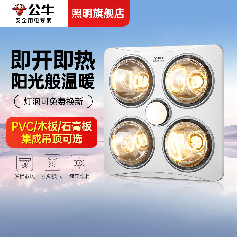 Bull Pvc Gypsum Board Plastic Honeycomb Panel Light Bulb Heating Bathroom Heater 30X30 Bathroom Exhaust Fan Lighting Integrated