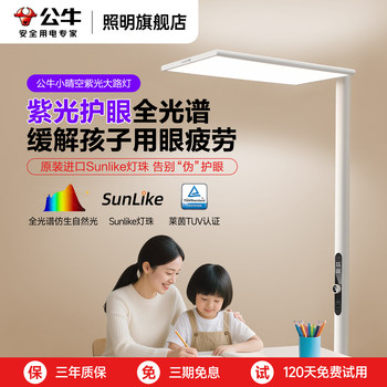 Bull Little Clear Sky Floor Lamp Full Spectrum Eye Protection Floor Lamp for Study, Children's Desk Homework Lamp