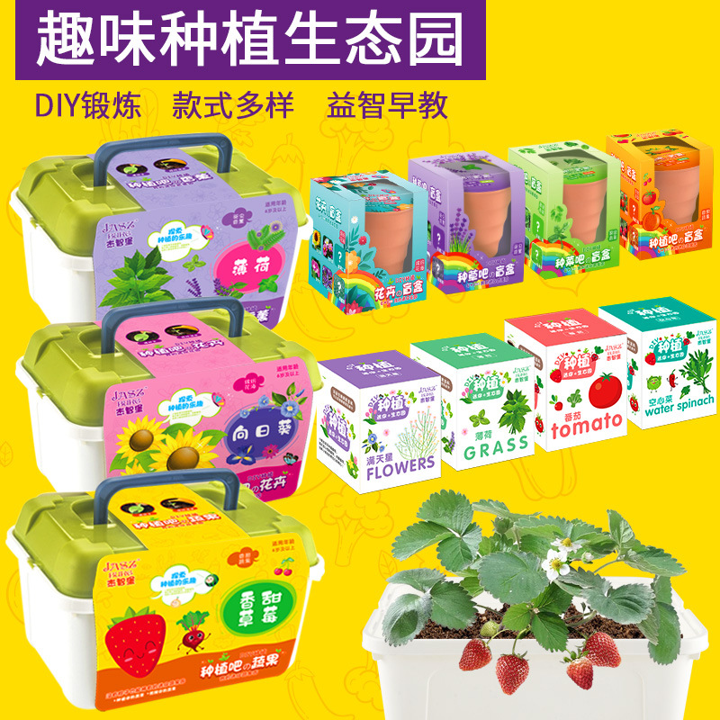 幼儿园儿童科教作业DIY手工种植绿植盆栽花卉种子礼物套装盲盒：让孩子爱上自然的小秘密🌿🎁