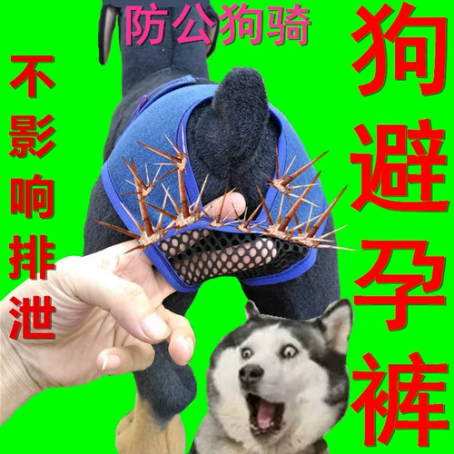 Штаны ежемесячная одежда, мастерство, фальшивый домашний домашние домашние собаки