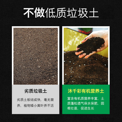 沐千彩营养土养花专用通用土花土种菜壤多肉绿萝种植土