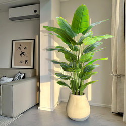 Bird of Paradise Artificial Green Plant Indoor Potted Plant Large Living Room Accessible Luxury Decoration Floor Ornament Bionic Plant Fake Flower Tree