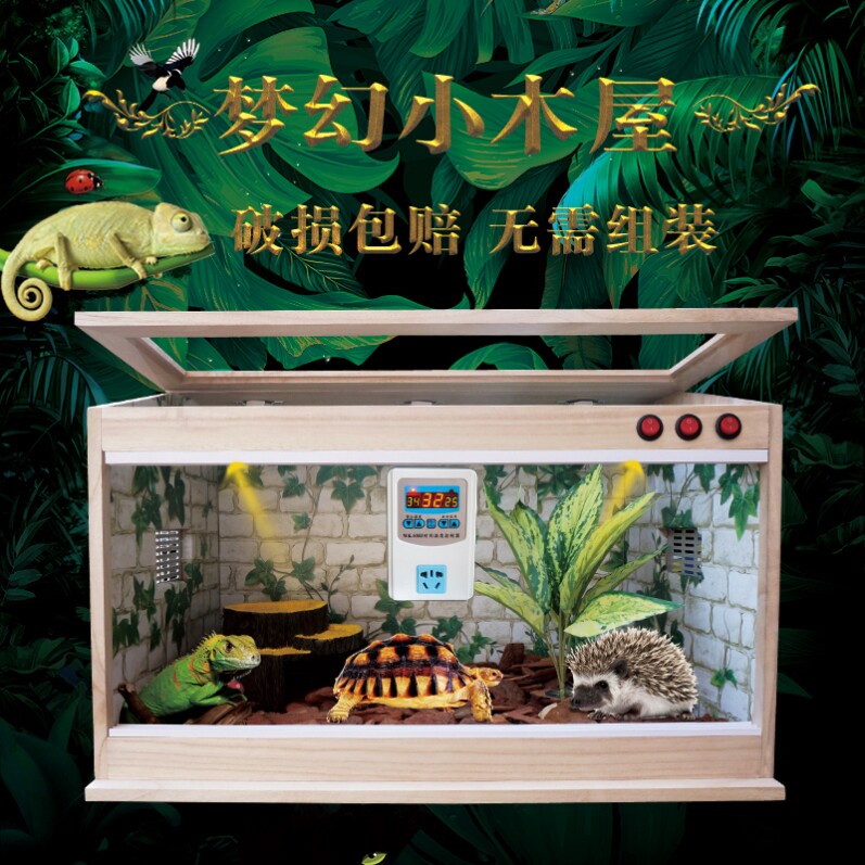 Ecological reptile box crab cage owned by Dragon cat, Dolby cockroach quail quail, roast roast frog