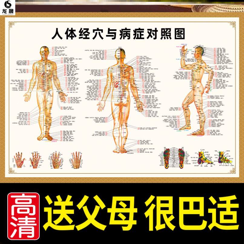 The body of the acupuncture drawings of the child's home scraping drawings with the baby of the body acupuncture diagram