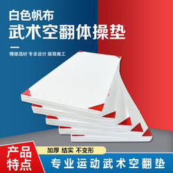 Martial Arts Mat Sit-Ups Mat Sports Training Sponge Dance Skills Somersault Gymnastics Mat