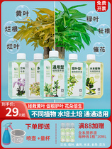 Plant nutrient solution universal flower fertilizer hydroponic pothos succulent indoor potted money tree green plant concentrate