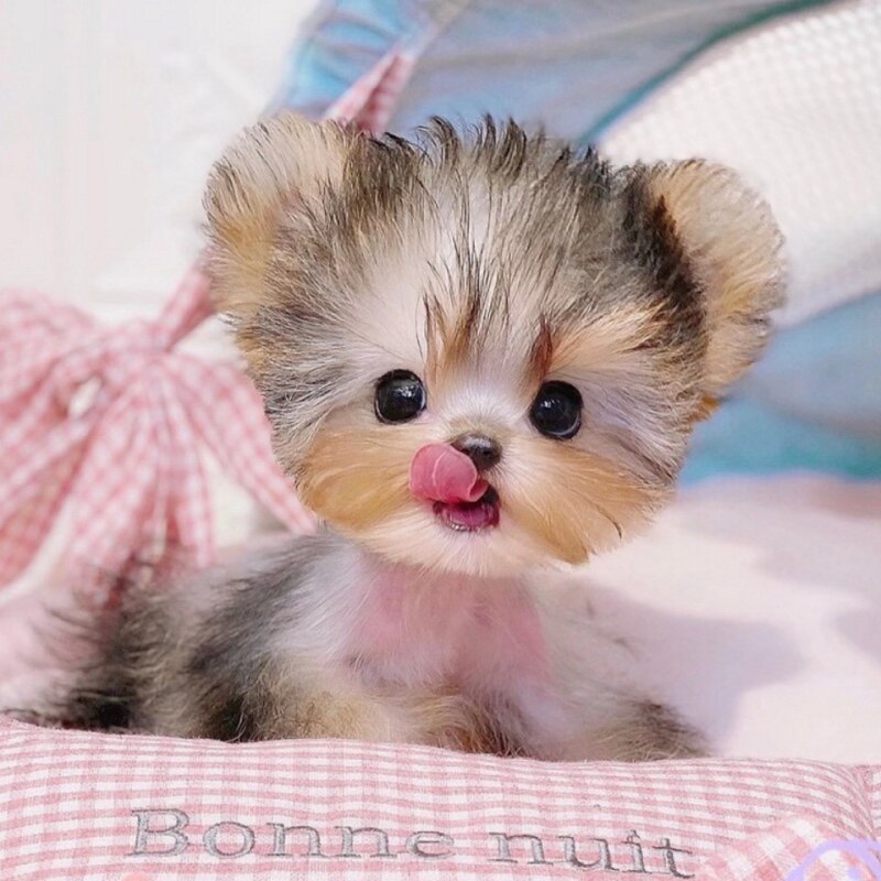 精疲力尽的美国医生一家搬到了新西开元棋牌- 开元棋牌官网 - 开元棋牌APP下载兰……“收入下降也值了”