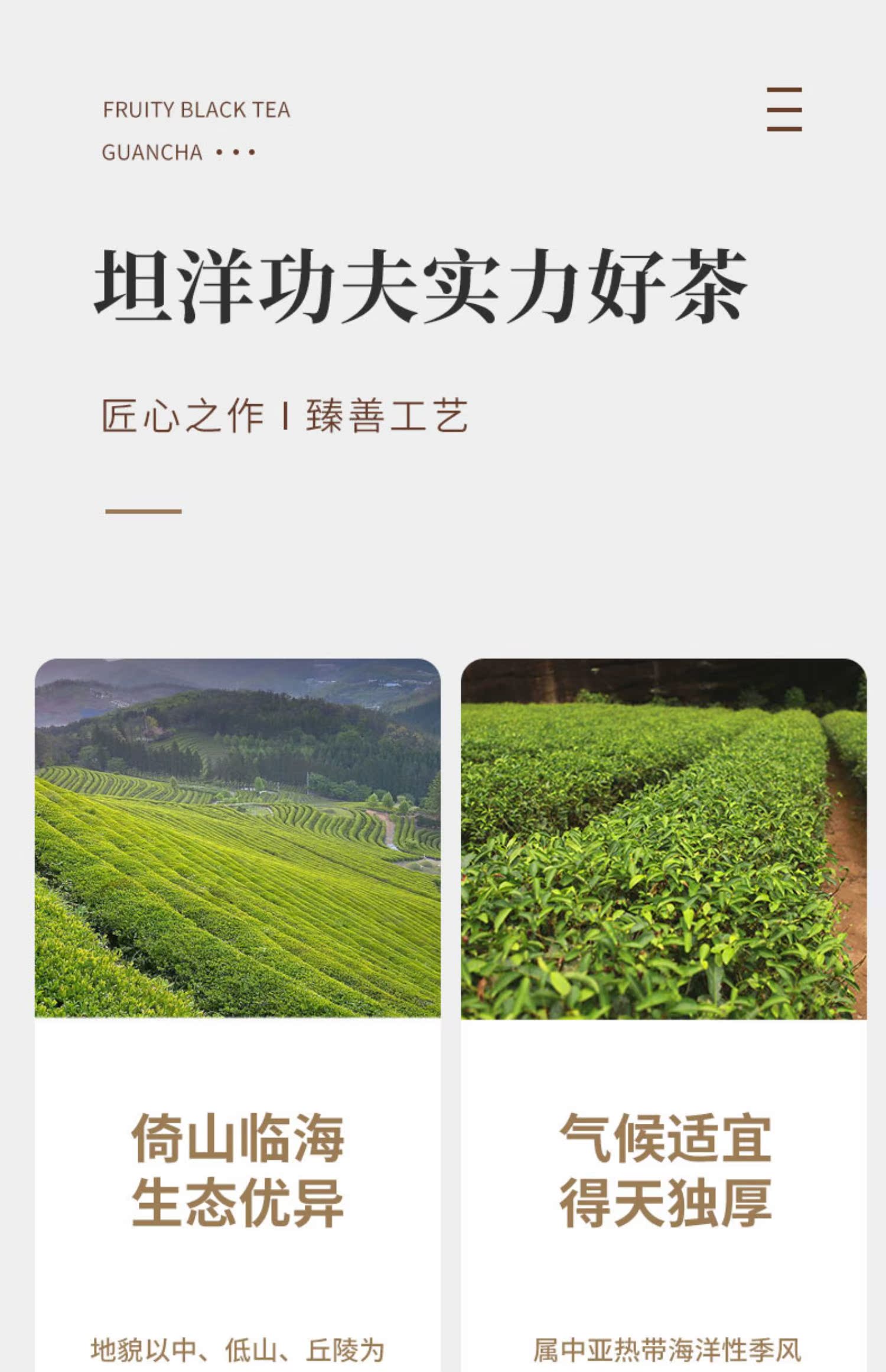 【首单立减】红茶茶叶果香型2包