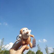 In Smile Bigtooth Piglet Doll Cute Hanging Keyconkbag Backpack Pending Bookpack Accessories