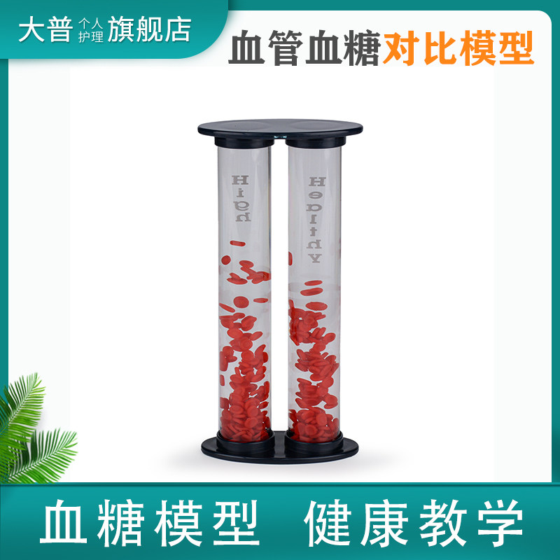 医学教育模型 液体葡萄糖血糖2支血管模型 病理血管血糖对比模型