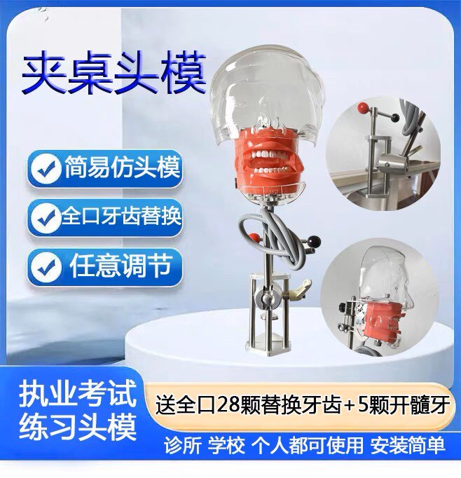 牙科材料口腔备牙模型器械工具离体牙备牙种植树脂牙简易仿真头模