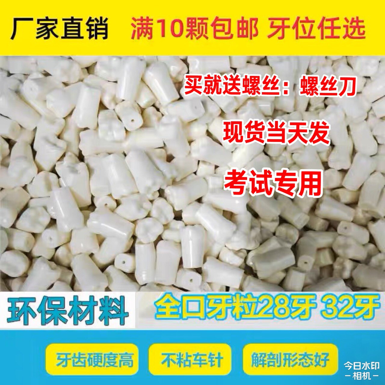 备牙模型开髓牙仿真种植牙科牙粒口腔根管离体牙树脂牙考试专用牙