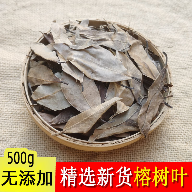 Banyan Leaf Chinese Herbal Medicine, Money Plant, Fine-Leaf Banyan, Small-Leaf Banyan, Banyan Tree Leaves, Small-Leaf Banyan 500g Free Shipping Banyan Leaf Chinese Herbal Medicine, Money Plant, Fine-Leaf Banyan, Small-Leaf Banyan, Banyan Tree Leaves, Small-Leaf Banyan 500g Free Shipping