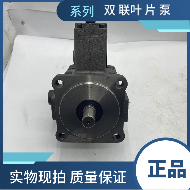 VP30-B-PA VP40-PA high and low pressure double variable capacity vane pump (price does not include gear pump)