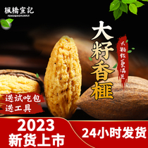 Zhuji Fengqiao Xuanji Torreya Large Seeds 2023 New Arrival Canned Torreya Childrens Nuts