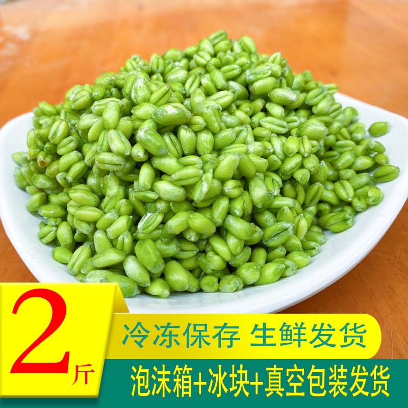Green wheat kernel fresh small peeled grain spike tender miscellaneous grains ready-to-eat porridge milled and turned green self-produced son 2022 raw barley twist seeds