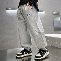 Official Flagship Boy Sports Pants 2024 New Fashion Casual Children Autumn Winter 100 Hitch Loose Boy Long Pants