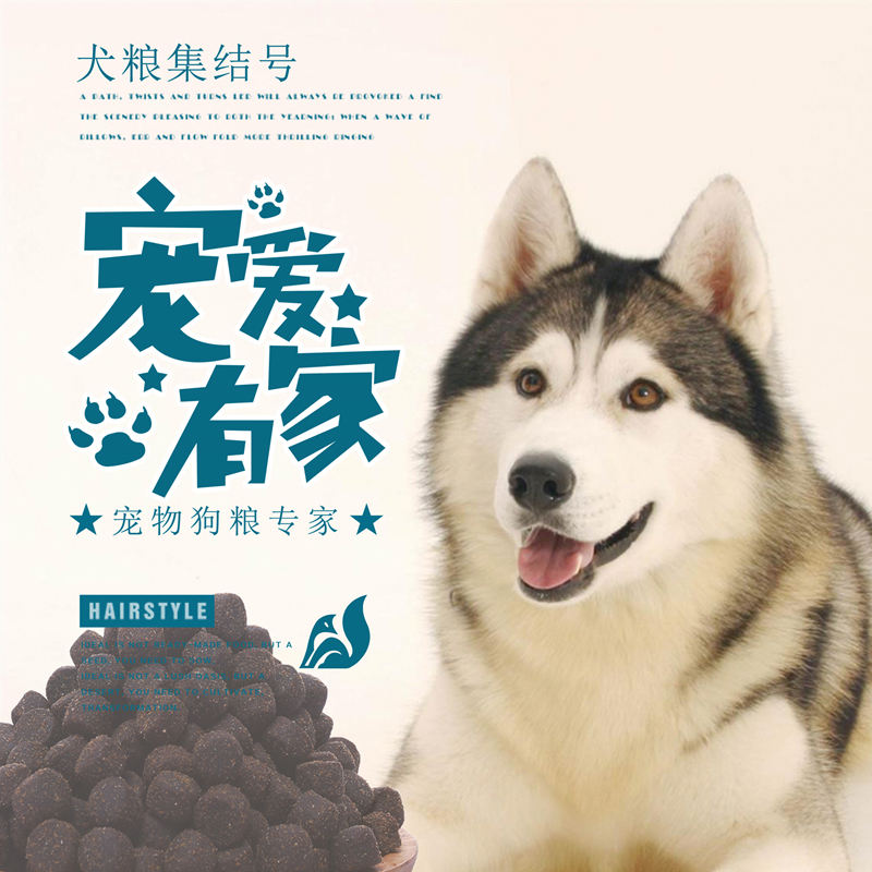 Dog food universal 40 catties golden retriever Teddy Samor Labrador method bucket 10 large puppies adult dog large bag 20