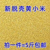 Shellless millet millet Wenniao pearl bird budgerigar parrot bird food bird food feed egg millet raw material 5 pounds