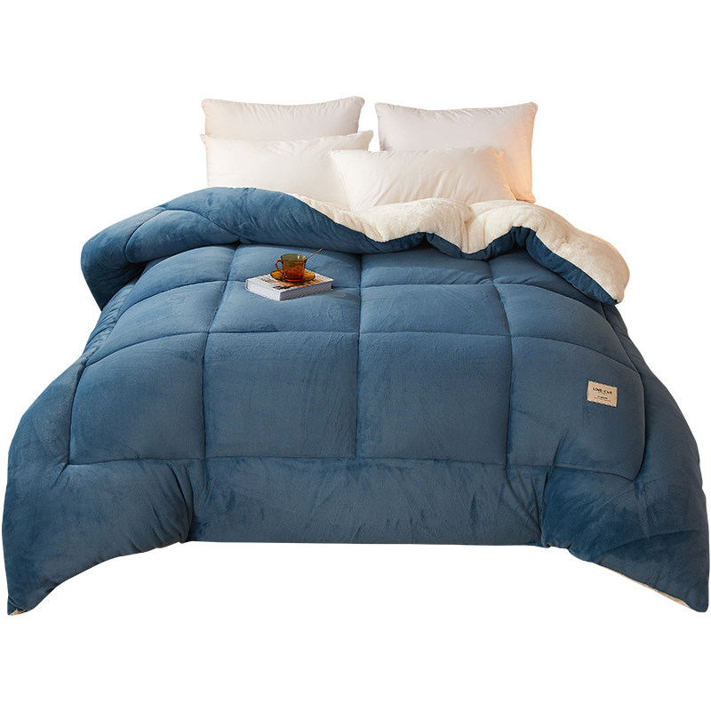 Thickened 5kg Quilt, Snowflake Velvet Double-Sided Thickened Winter Quilt, Lamb's Wool Quilt Core, Student Bedding, Dormitory Single/Double Cotton Quilt