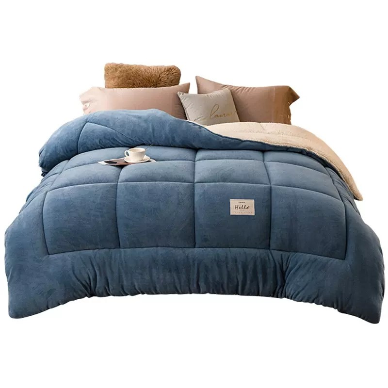 2025 Lamb Wool Quilt, Winter Quilt, Thickened and Warm, Winter Dormitory Single Student Winter Space Quilt Core