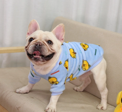 Метод одежды для собак, борьба с Тедди Корки Бомей Белль Медведь Малзис Снежный маленький Средний Собака одежда для домашних животных