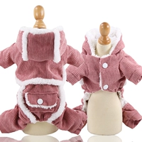 Четырехлетная двойная лампа