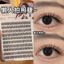 Internet celebrity lazy photo false eyelashes female natural simulation trilogy segmented black thin soft stem self-grafted eyelashes