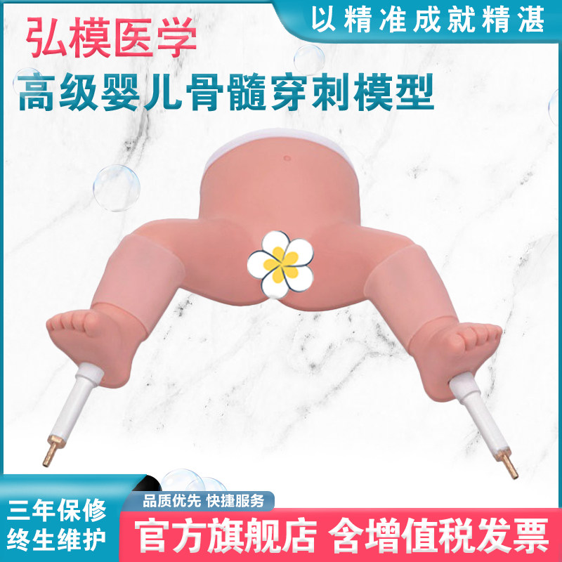 弘模HOM/L65B高级婴儿骨髓穿刺模型胫骨骨髓穿刺模型