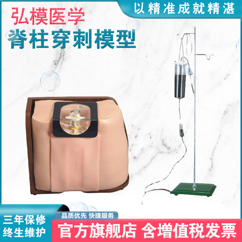 弘模HOM/L68脊柱穿刺模型脊椎形状结构腰麻进针阻滞感模拟脑脊液训练教学假人体模具