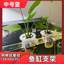 Argentina Crown planting cup water grass cup clip fish tank hydroponic plant fixed frame planting basket fish tank decoration landscaping