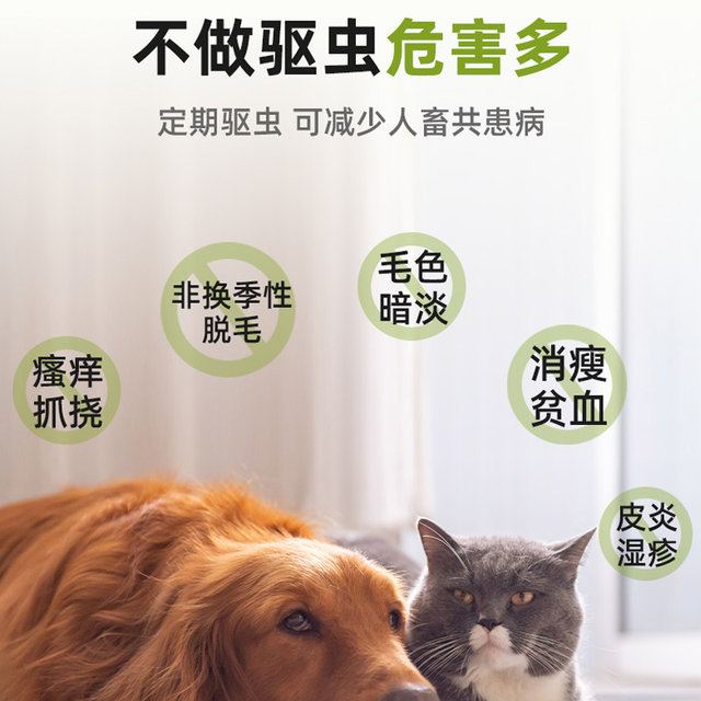 Pet Camp Cat Deworming Medicine Integrated Dog ພາຍ​ໃນ​ແລະ​ພາຍ​ນອກ​ປະ​ສົມ​ປະ​ສານ​ການ​ຫຼຸດ​ລົງ​ພາຍ​ນອກ​ສໍາ​ລັບ flea ແລະ​ຫມາຍ​ຕິກ​ສັດ​ລ້ຽງ​ແມວ​ແລະ​ຫມາ