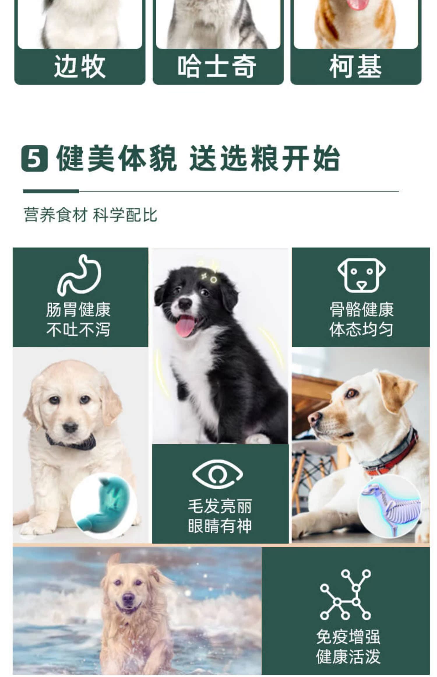 成犬小型犬泰迪贵宾金毛博美通用狗粮5斤