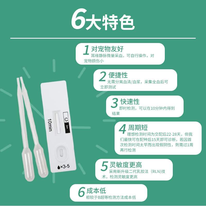 狗狗猫咪15天能用早孕试纸测出怀孕吗？2026宠物主必知检测攻略