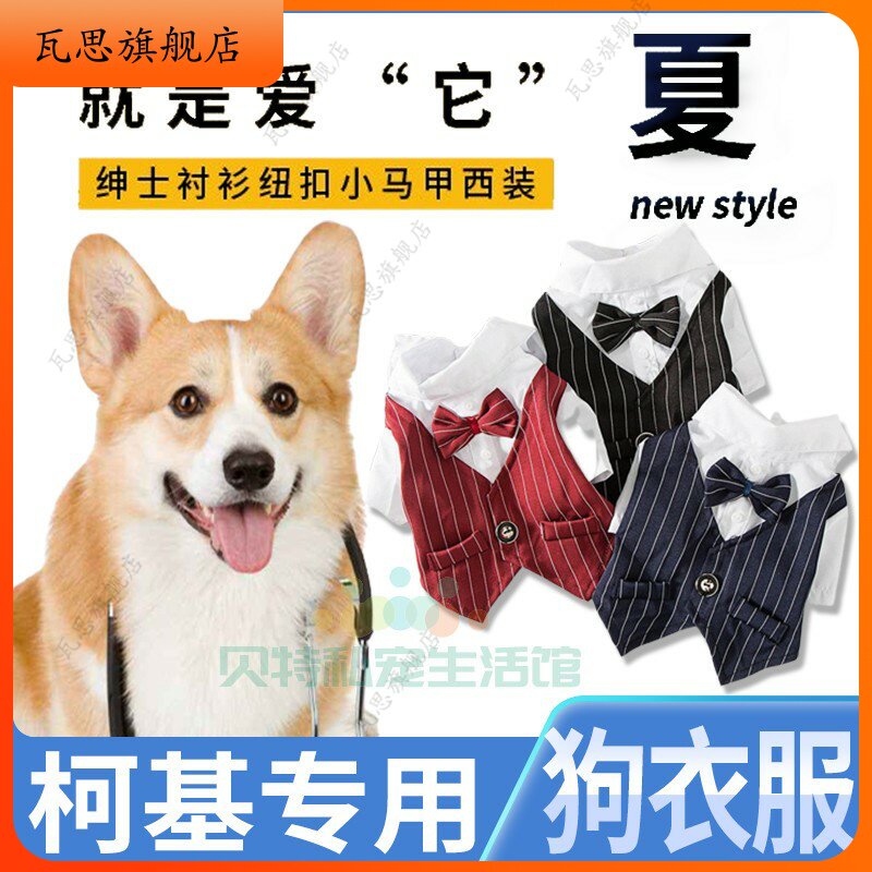 Kochi special dog clothewedding suit suit dress dress wedding spring and summer thin and beautiful gentleman pet