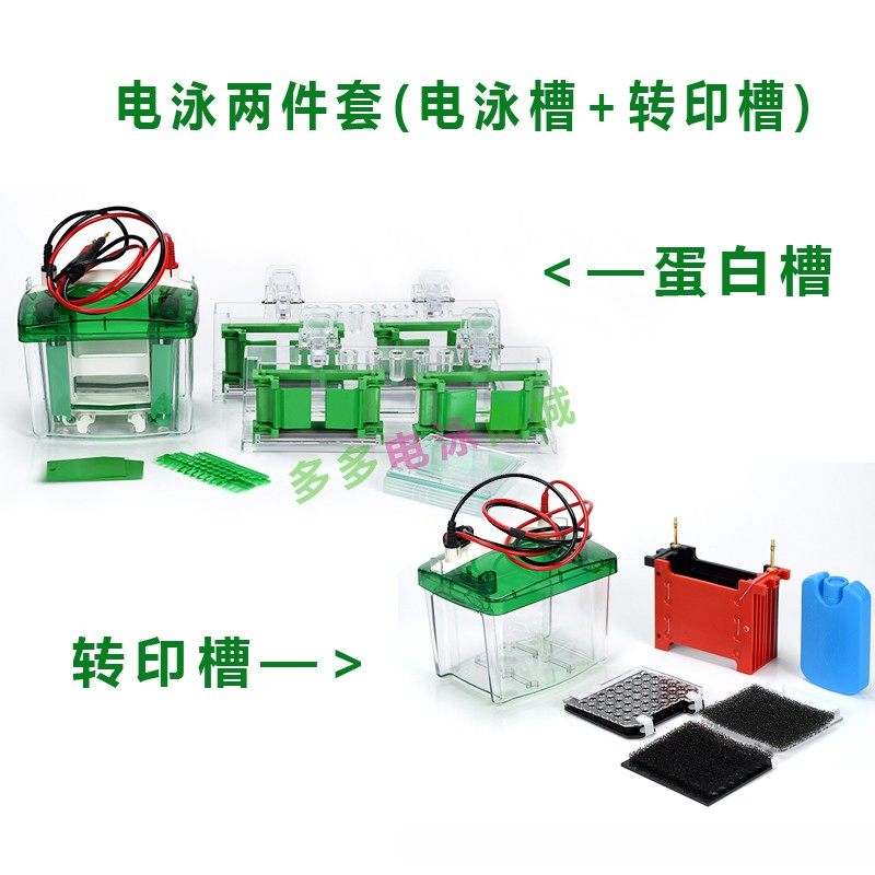 WB套装 WB转膜套装 小型垂直电泳 转印槽 Bio-Rad伯乐电泳槽 国产