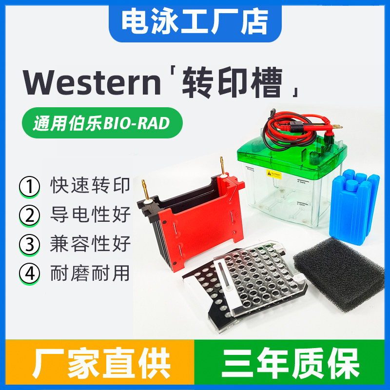 通用bio-rad伯乐小型转印转膜电泳槽 转印海绵 冰盒电极芯1703930