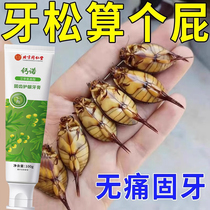 (Gingival recession can be repaired) Periodontitis loose teeth swollen and painful gums bleeding tooth root leakage tooth-fixing toothpaste