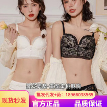 Famous Pint Flower Romantic Lace Suit Sexy Fonds Thin bra No steel ring Poly Woo Bra Underpants Suit