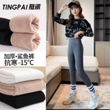 Акула, утепленные зимние штаны, детские осенние леггинсы